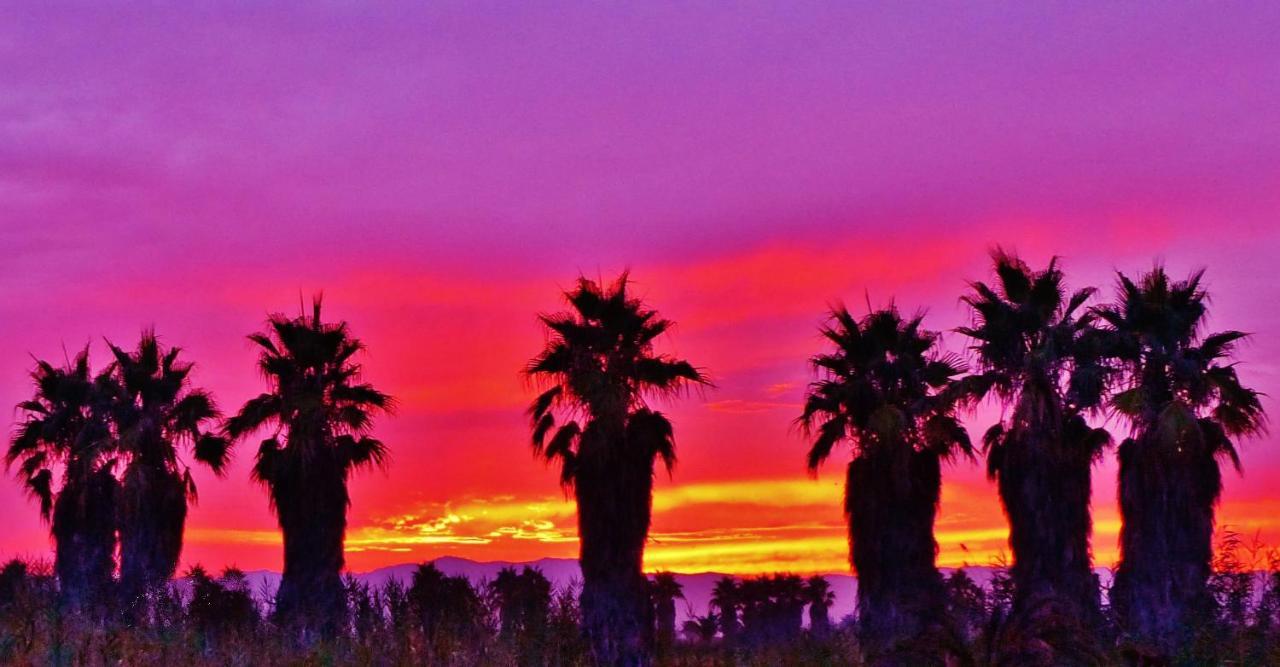 Laila Villa Riumar Dış mekan fotoğraf